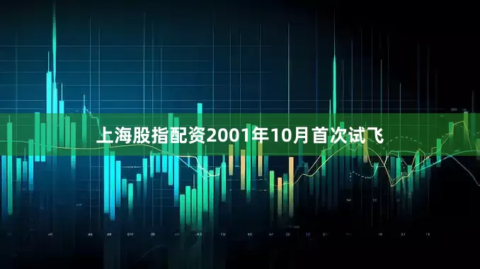 上海股指配资2001年10月首次试飞